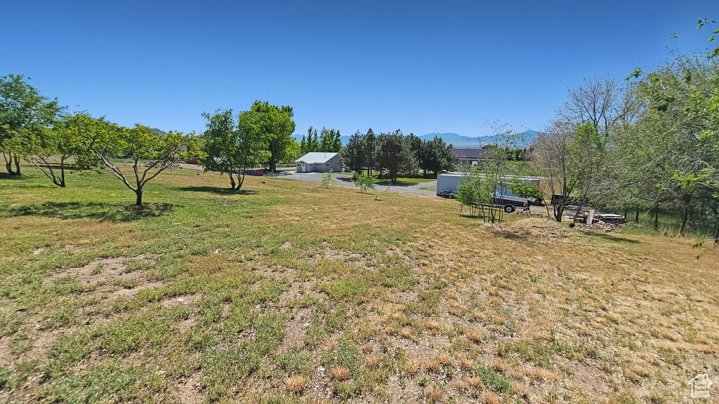 View of grassy yard with a mountain view
