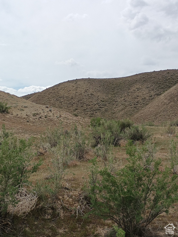View of mountain background