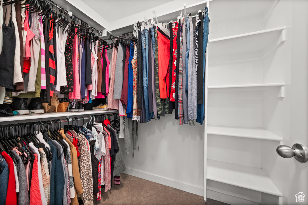 Walk in closet with carpet floors