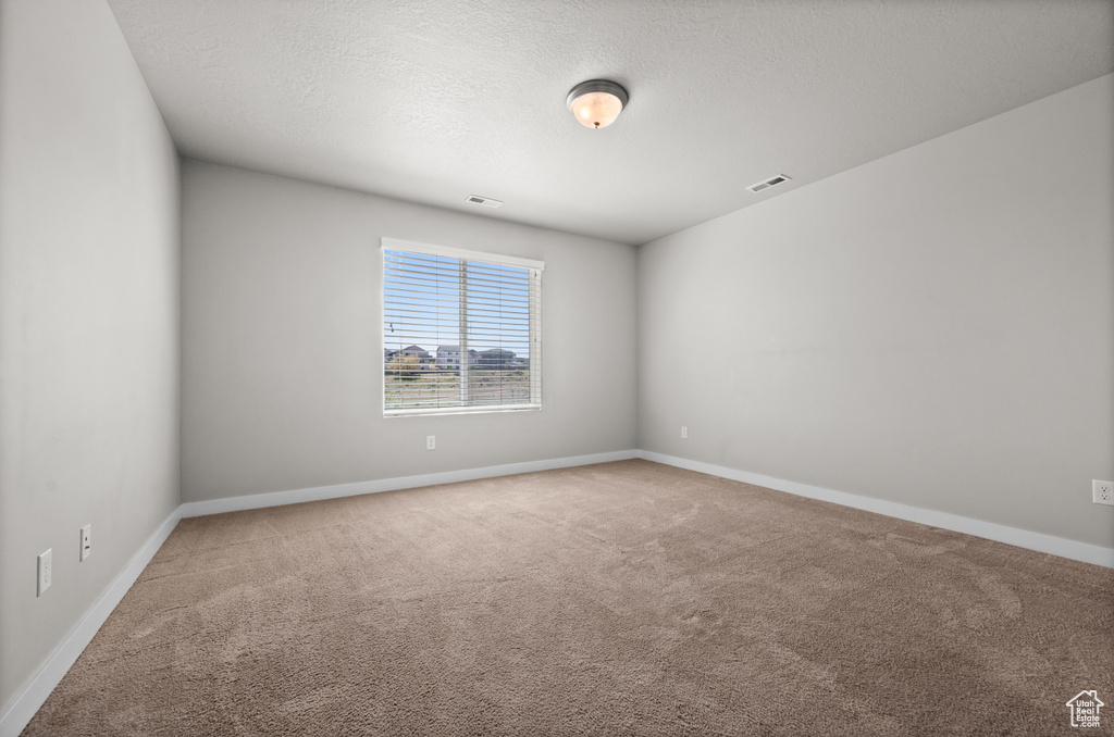 Empty room featuring carpet, baseboards, and a textured ceiling