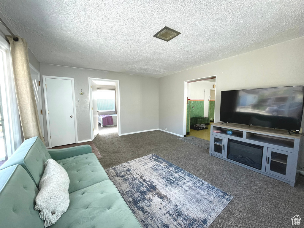 Living room featuring carpet flooring, a textured ceiling, and baseboards