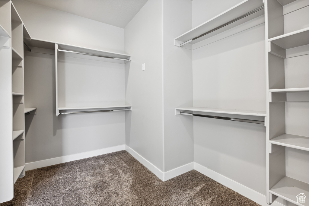 Walk in closet featuring dark colored carpet