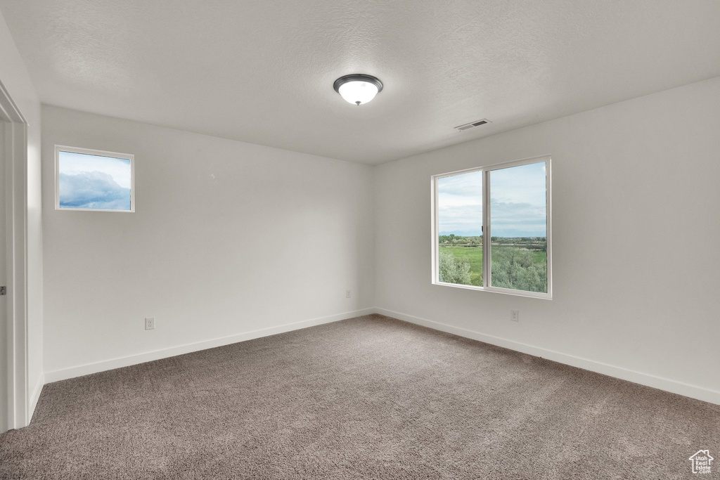 Unfurnished room featuring healthy amount of natural light, carpet, baseboards, and a textured ceiling