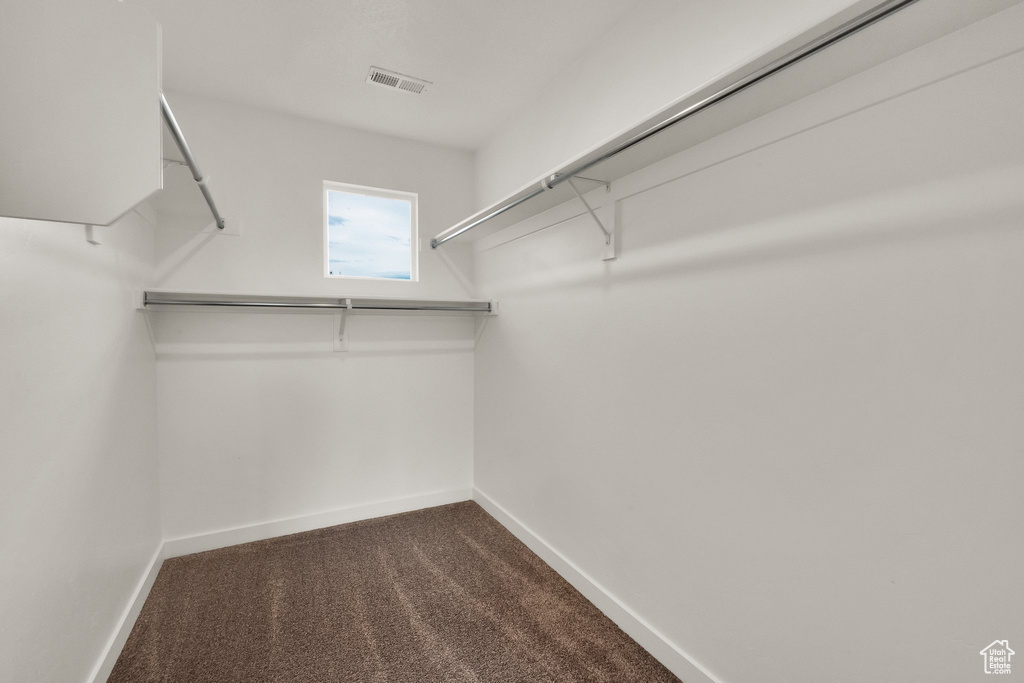 Spacious closet featuring dark carpet
