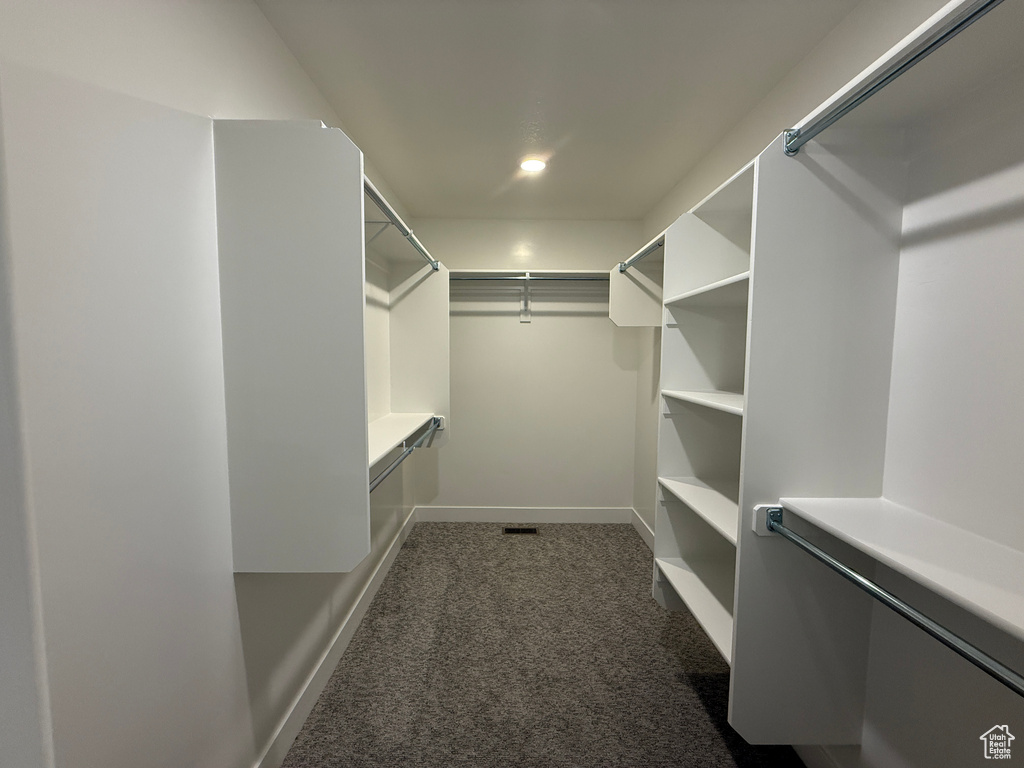 Spacious closet featuring dark carpet