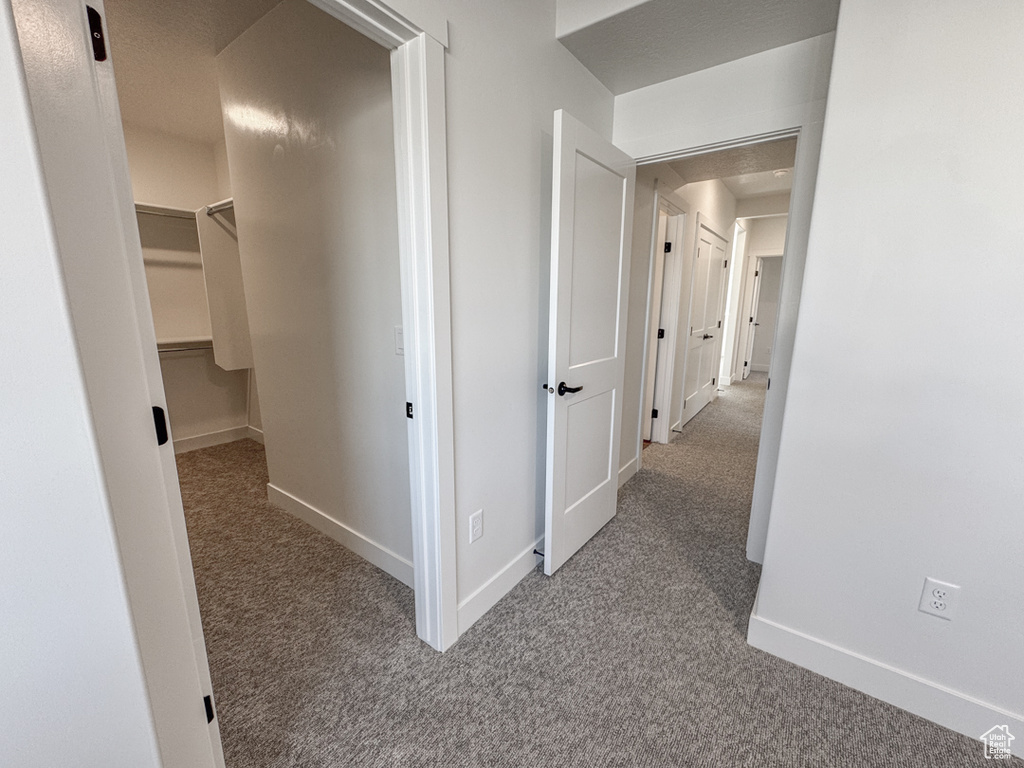 Hall featuring carpet floors and baseboards