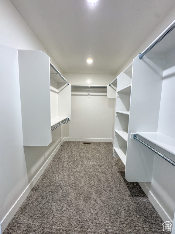 Walk in closet with carpet floors
