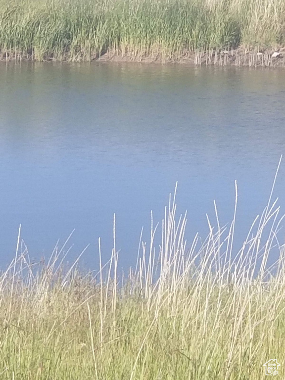Water view