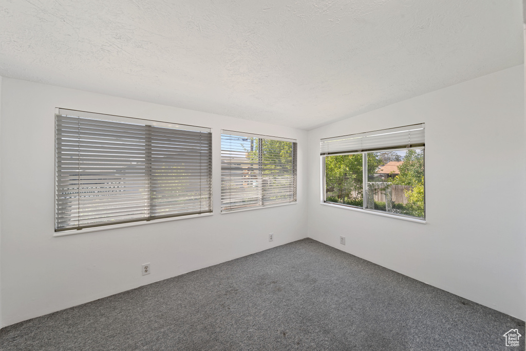 Unfurnished room featuring carpet and a textured ceiling