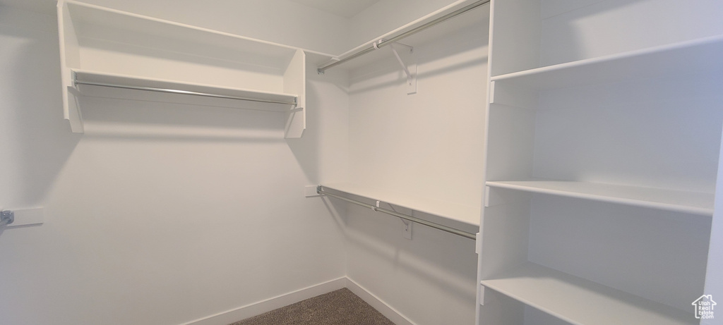Spacious closet with carpet