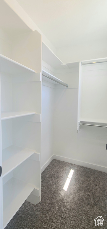 View of spacious closet