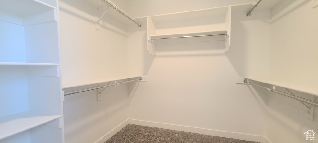 Spacious closet featuring dark colored carpet