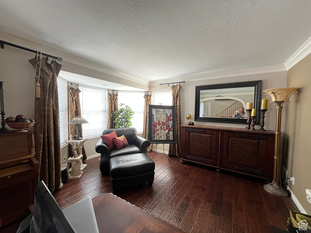 Living area featuring dark wood-style floors, crown molding, a textured ceiling, and baseboards