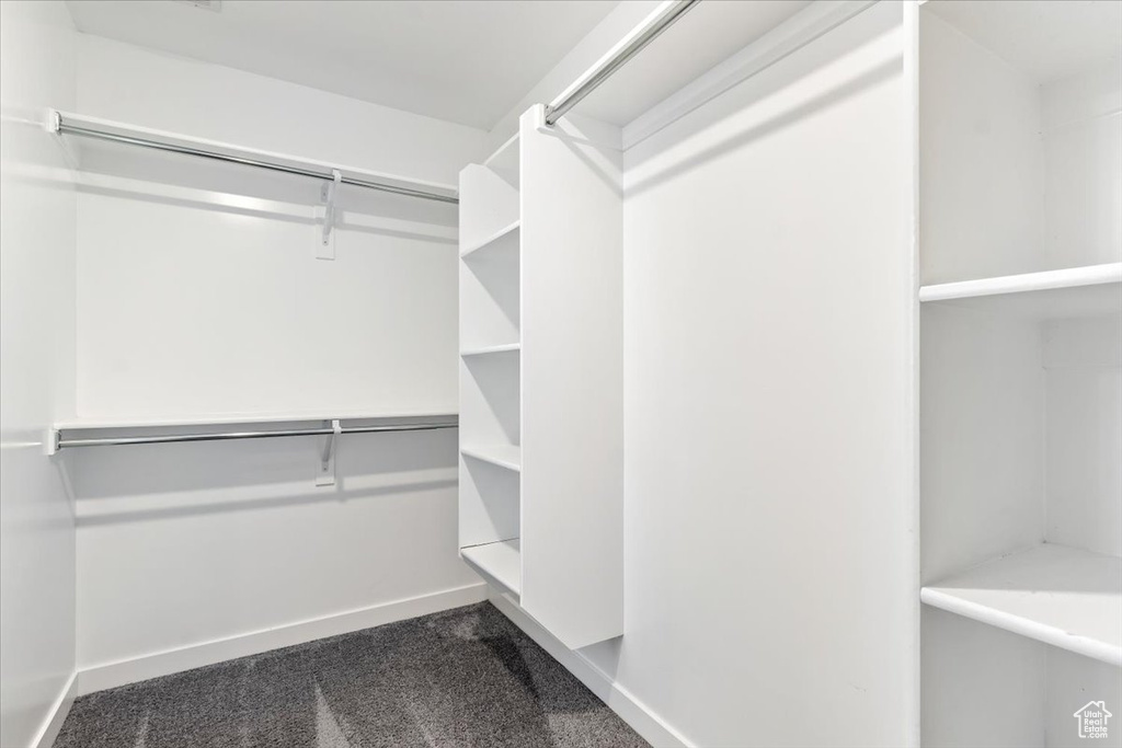 Walk in closet featuring dark colored carpet