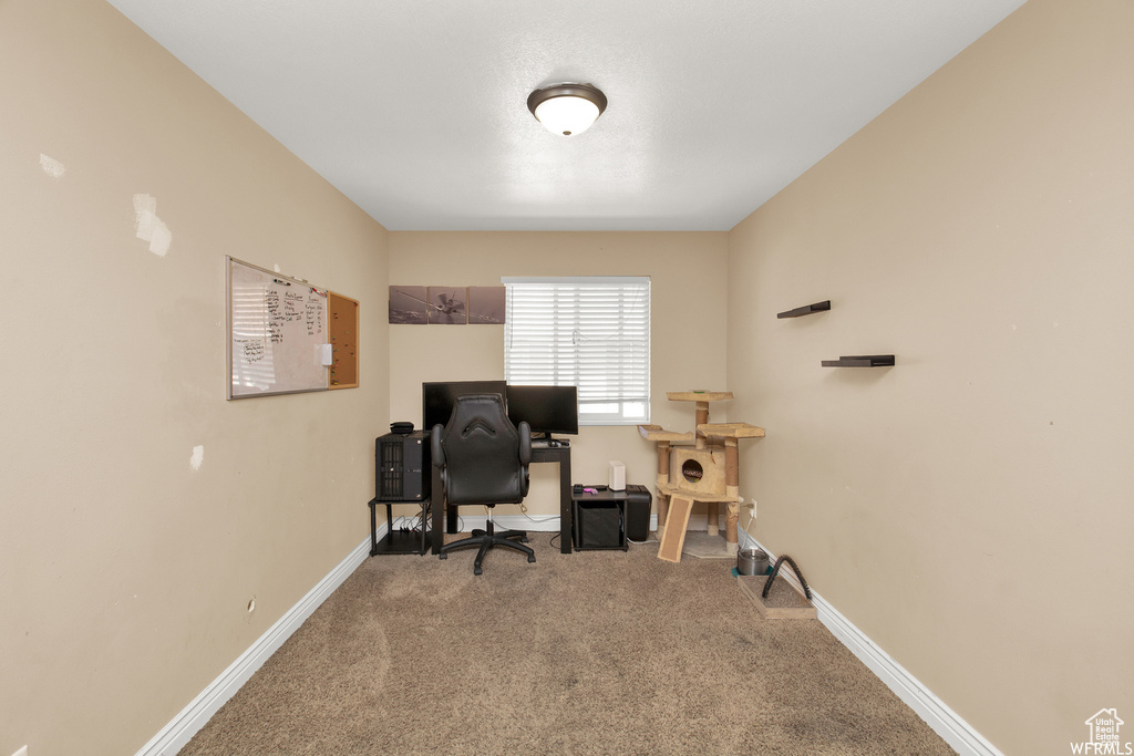 Home office featuring carpet and baseboards