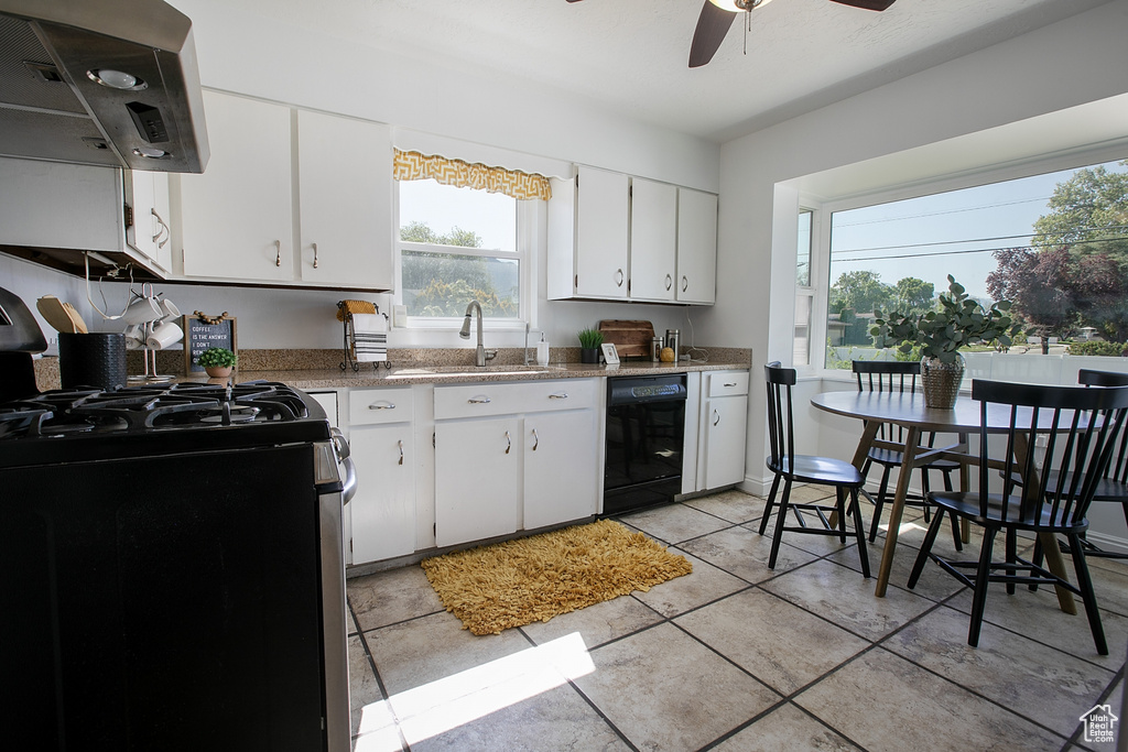 Kitchen featuring stainless steel gas stove, dishwasher, ventilation hood, ceiling fan, and healthy amount of natural light