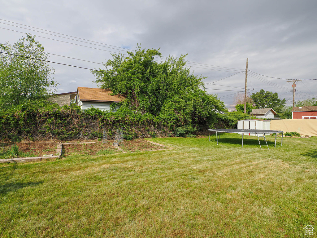 View of yard featuring a trampoline, a storage unit, and an outdoor structure
