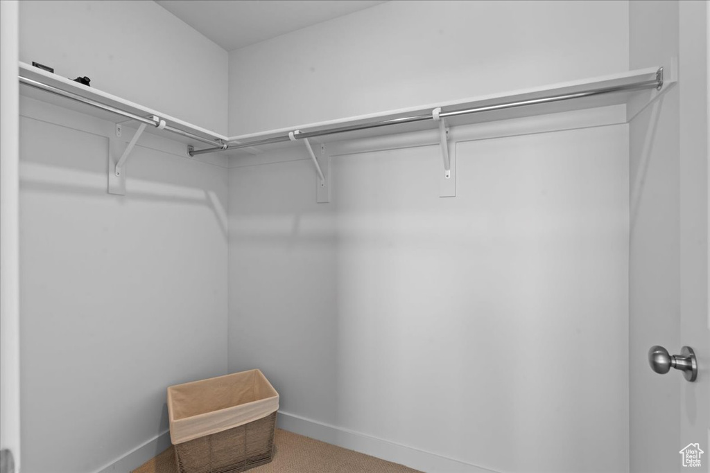 Walk in closet with carpet floors