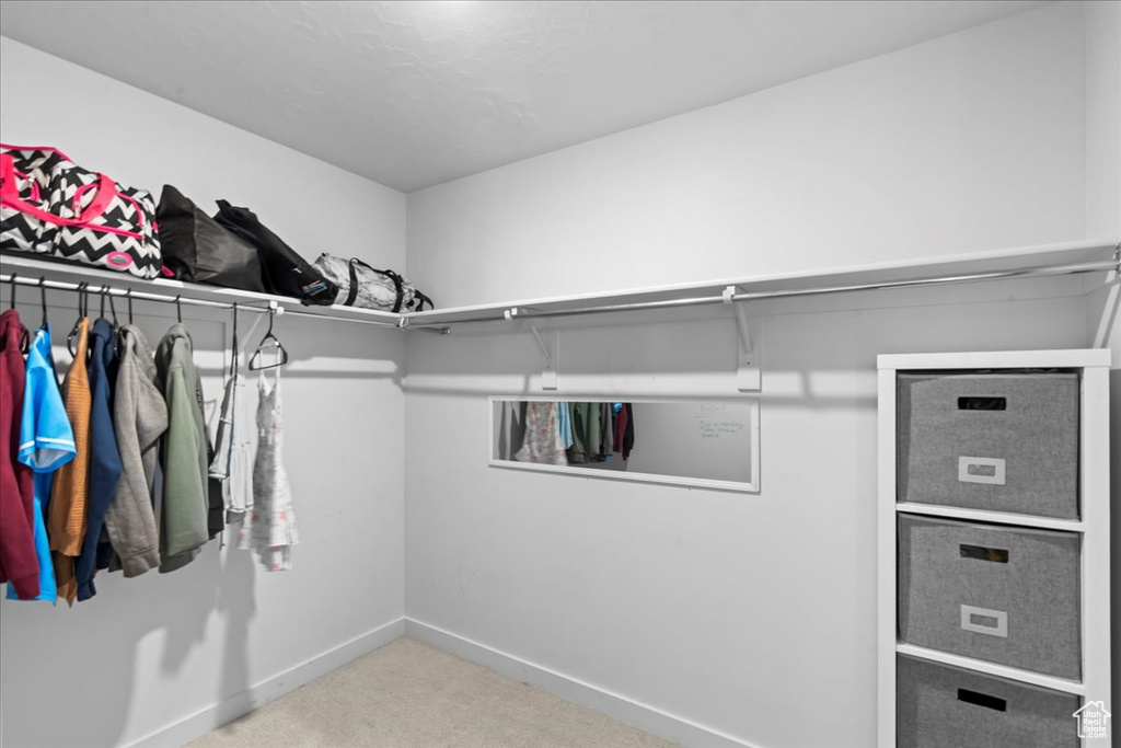 Spacious closet featuring carpet floors