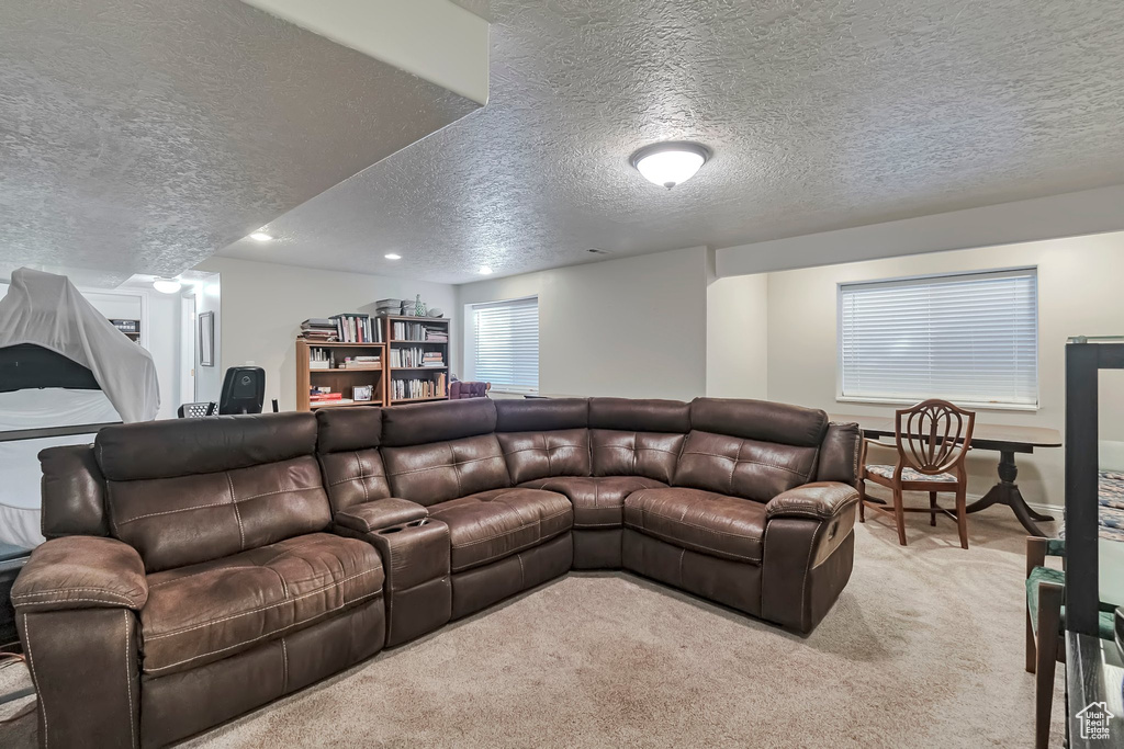 Living room featuring a textured ceiling and light colored carpet