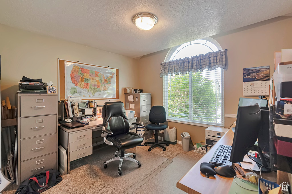 Home office featuring carpet floors, a textured ceiling, and baseboards