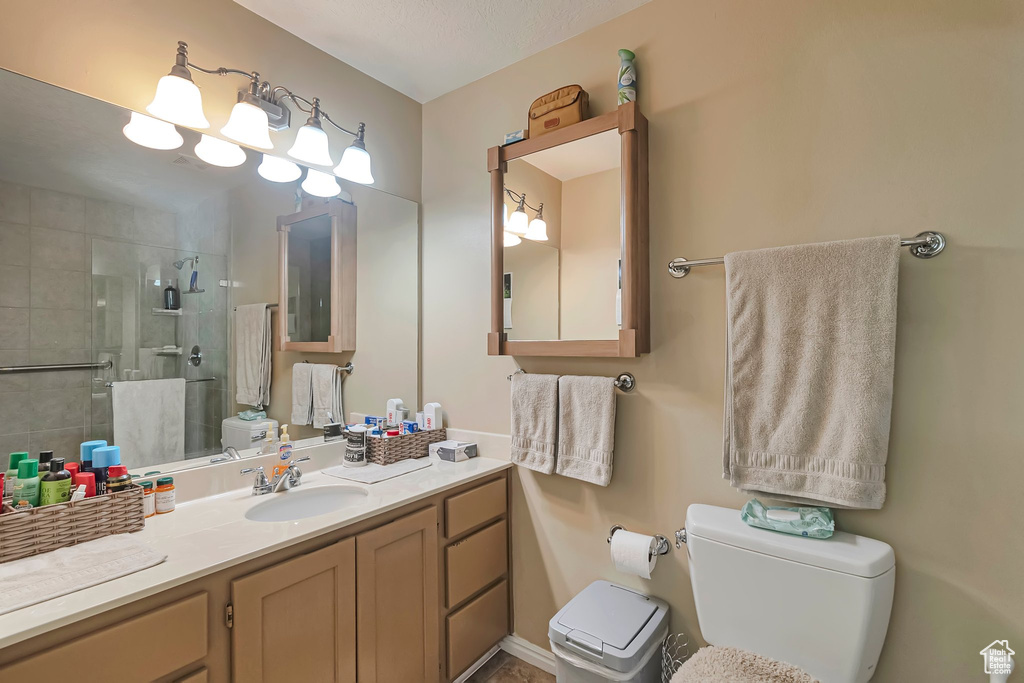 Bathroom featuring a shower stall, toilet, and vanity