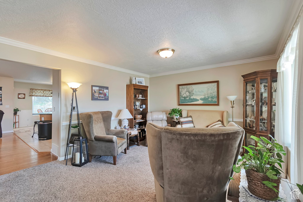Living area with crown molding, a textured ceiling, light colored carpet, and baseboards