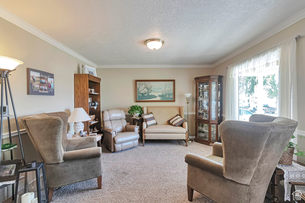 Carpeted living room with crown molding and a textured ceiling