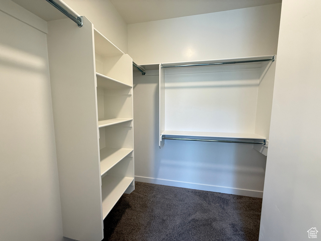 Spacious closet with dark carpet