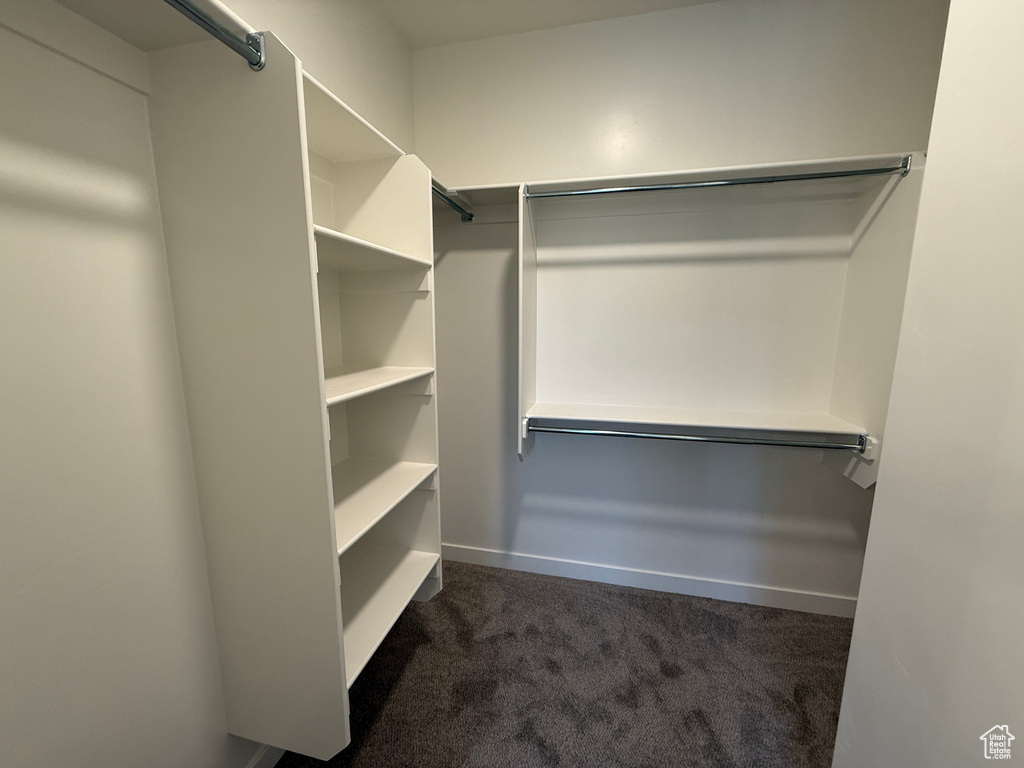 Walk in closet with dark colored carpet