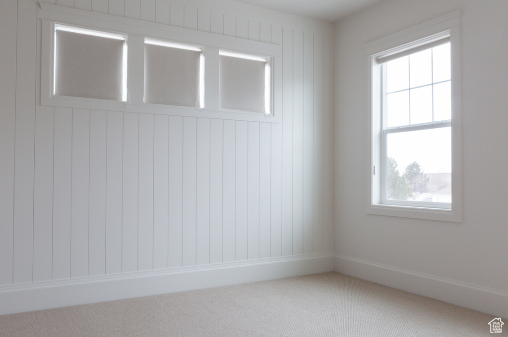 Carpeted spare room featuring plenty of natural light