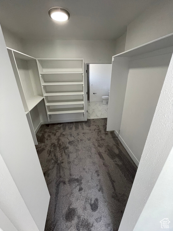 Spacious closet with carpet floors