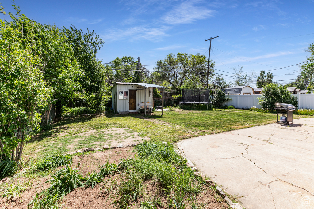 View of yard featuring a trampoline, a storage unit, a patio area, and an outbuilding
