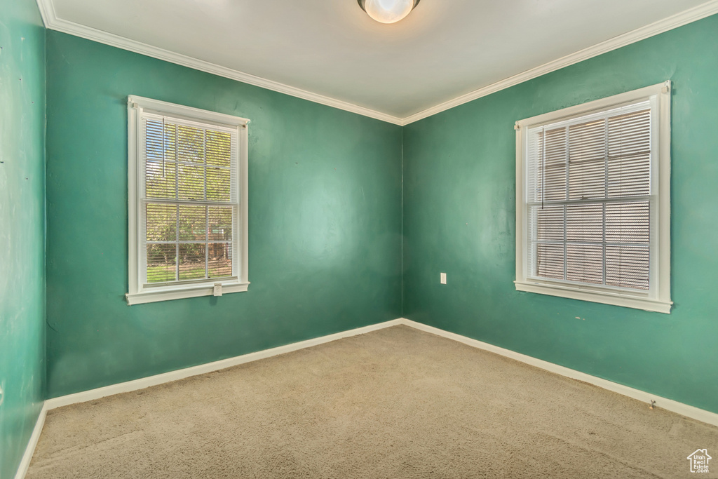 Carpeted empty room with ornamental molding and baseboards