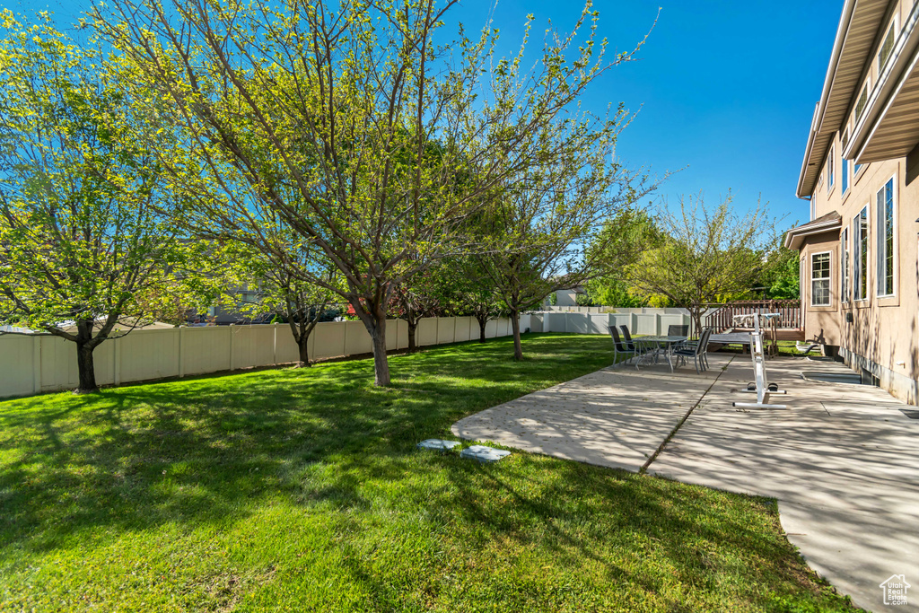 View of yard with a patio