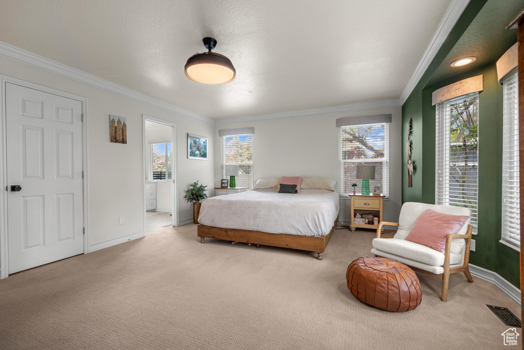 Bedroom featuring carpet floors, crown molding, multiple windows, baseboards, and connected bathroom