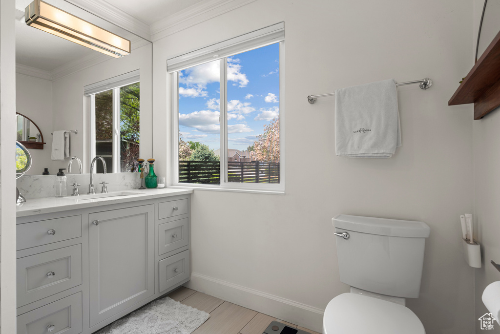 Bathroom with baseboards, toilet, ornamental molding, vanity, and wood finished floors