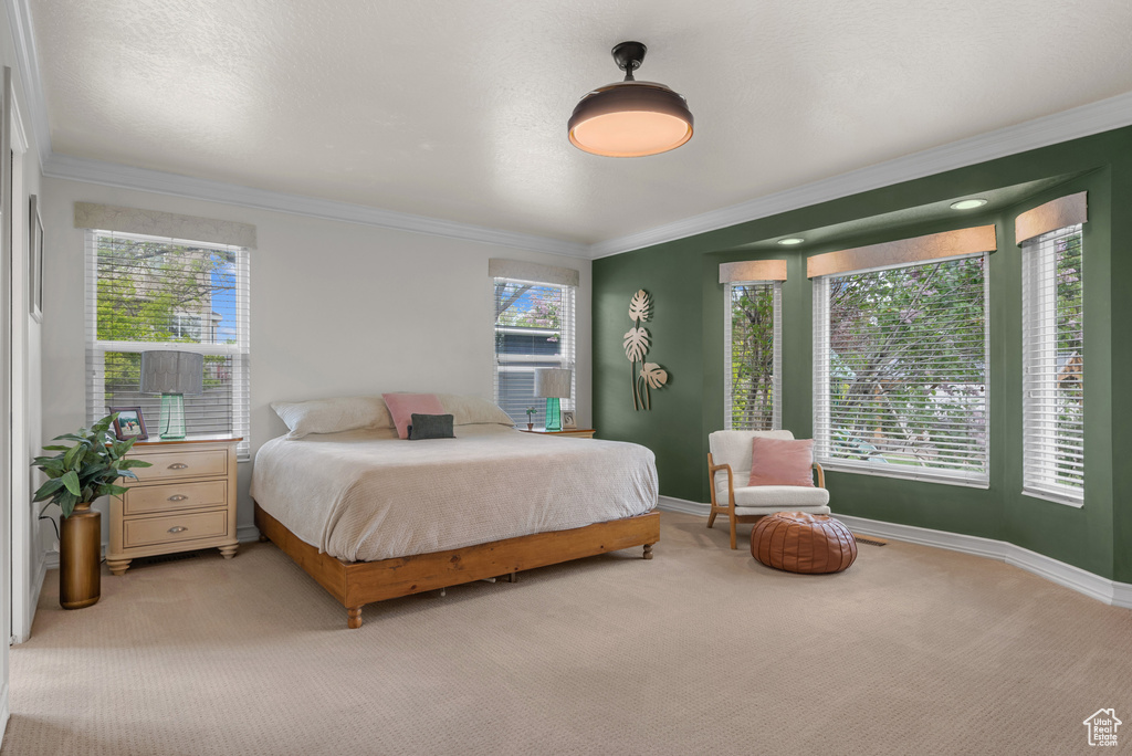 Bedroom with carpet, crown molding, and baseboards