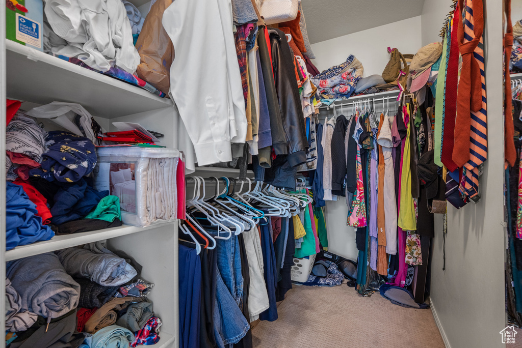 Walk in closet featuring carpet flooring
