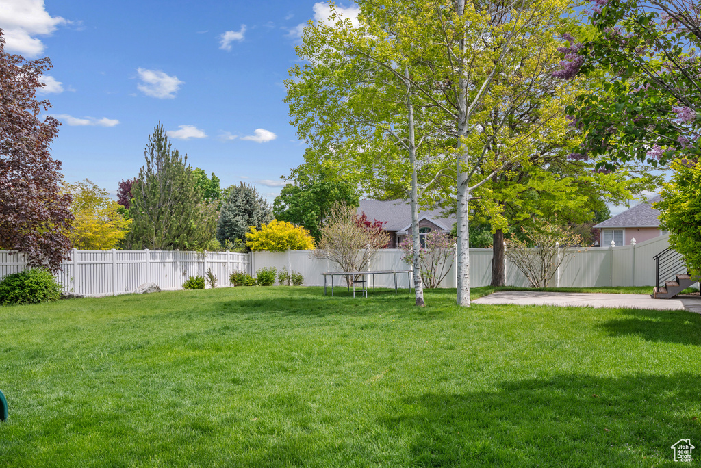 View of yard with a patio
