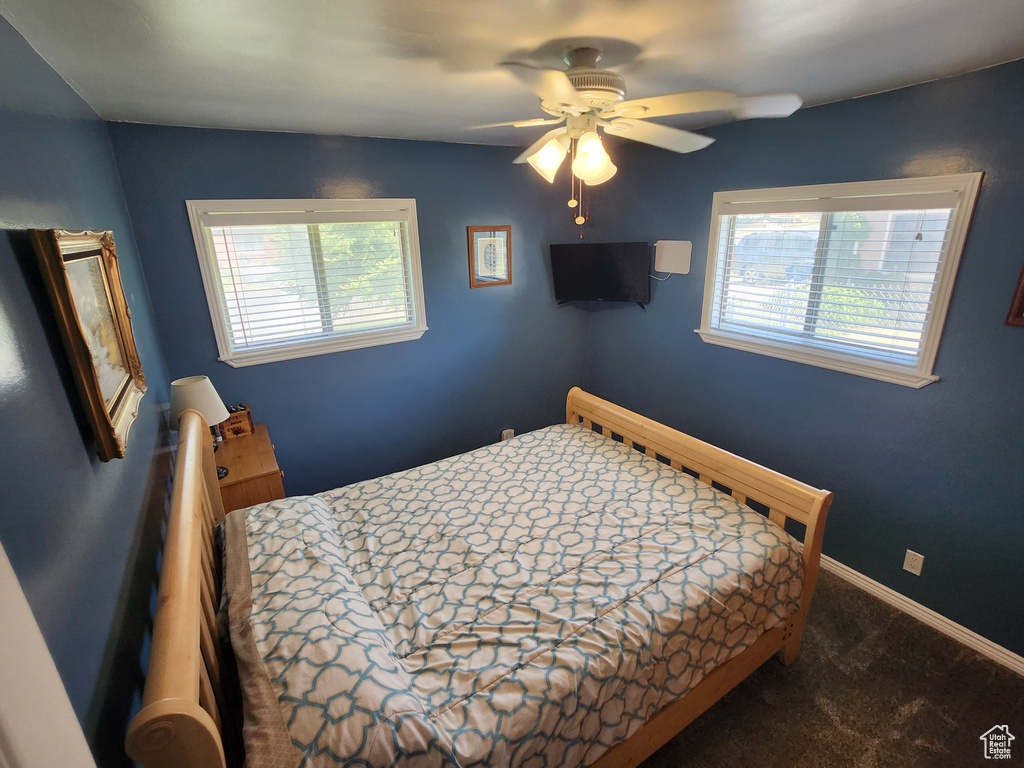 Carpeted bedroom with multiple windows and a ceiling fan