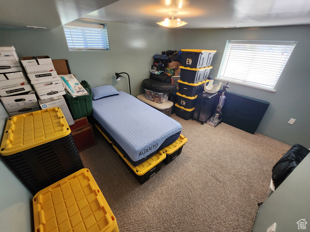 Miscellaneous room with plenty of natural light and carpet