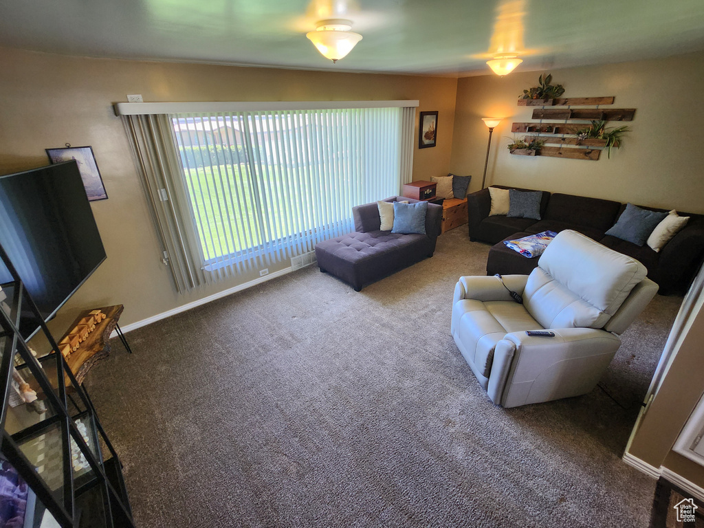 Living area featuring carpet floors and baseboards