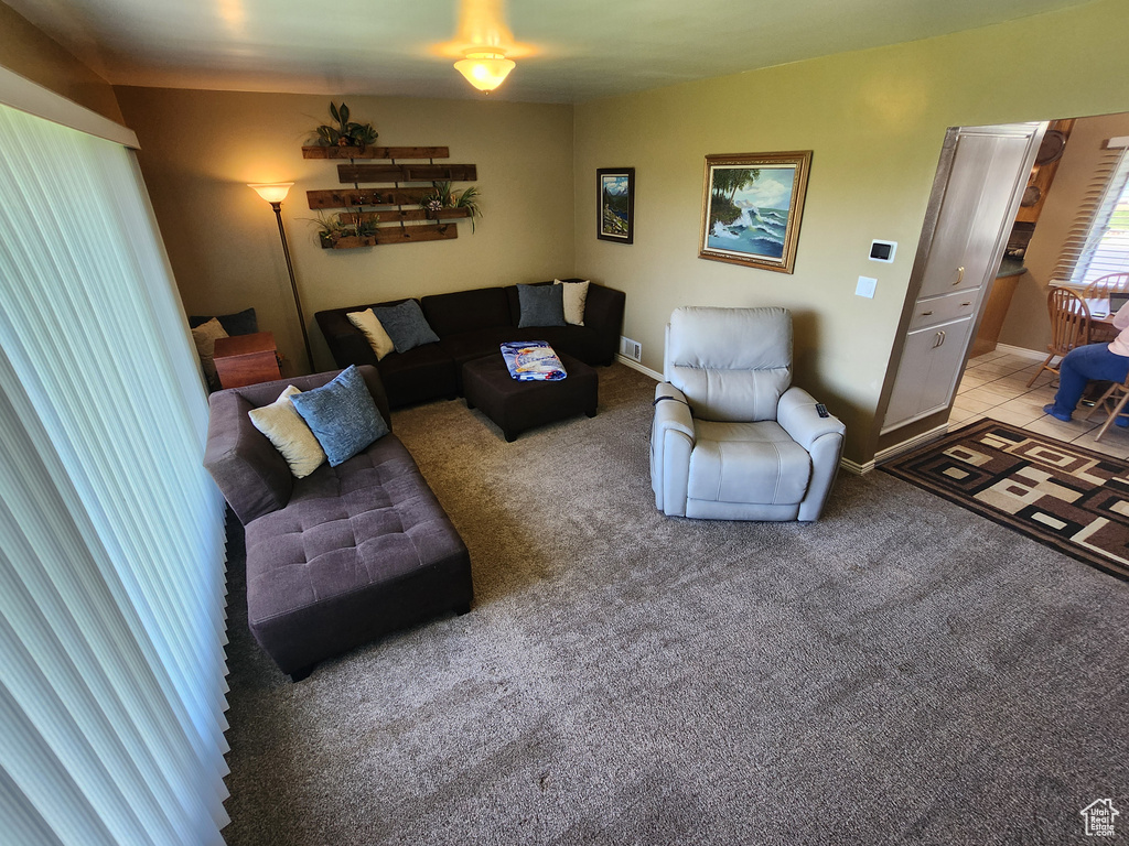 Living area with carpet flooring