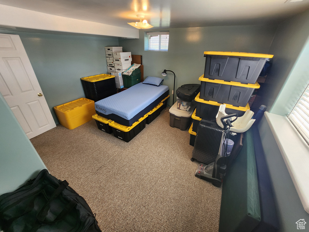 Bedroom with carpet floors