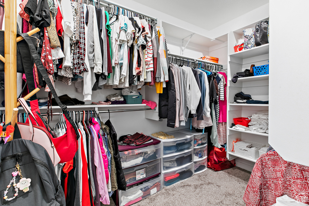 Spacious closet featuring carpet flooring
