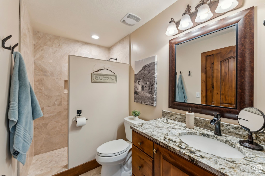 Full bathroom featuring a walk in shower, toilet, and vanity