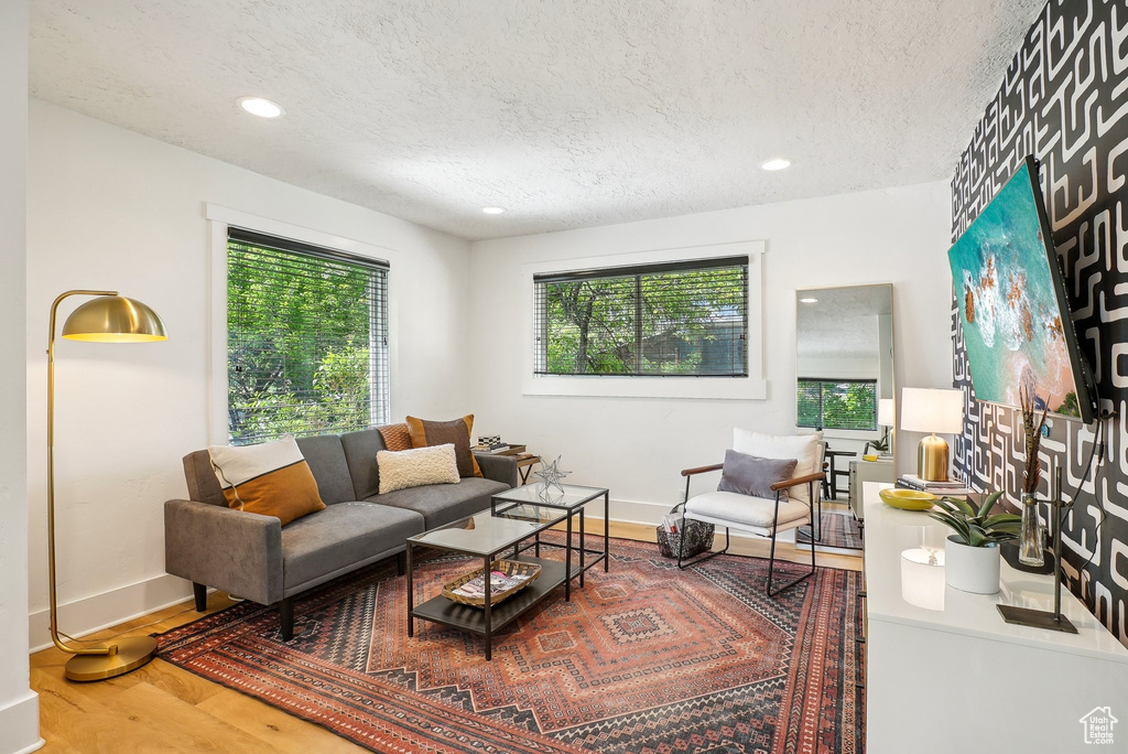 Living room featuring a textured ceiling, wood finished floors, baseboards, and recessed lighting