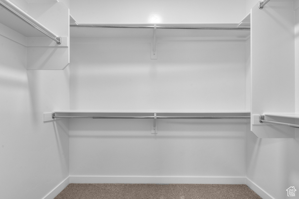 Spacious closet with carpet floors