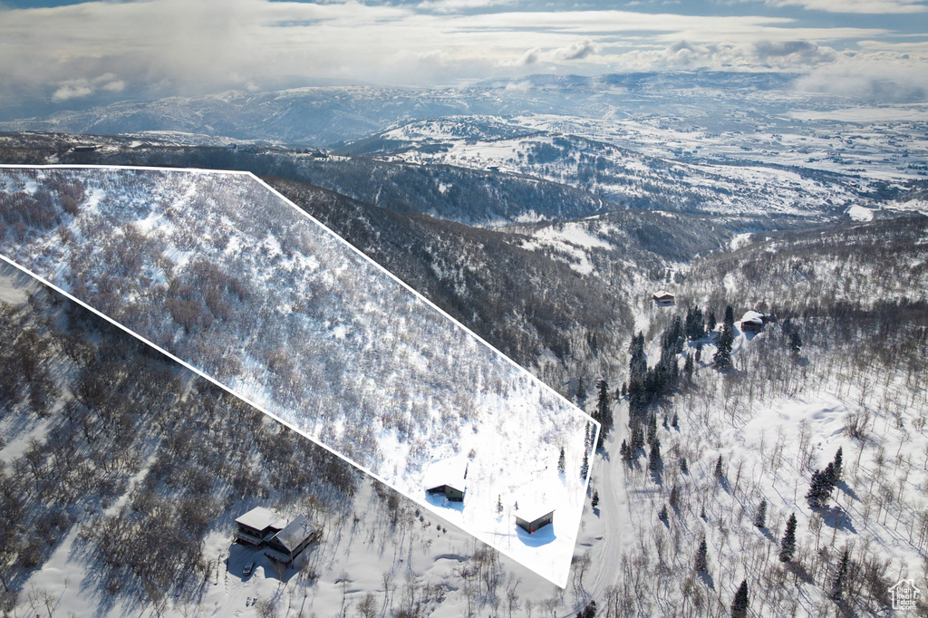 10256 N BASIN CANYON RD Park City, UT 84098